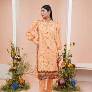 Adya Chikankari Dyed Short Kurti